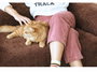 Atelier Del Sofa Wello Single - Sofá-cama de 1 plaza Marrón